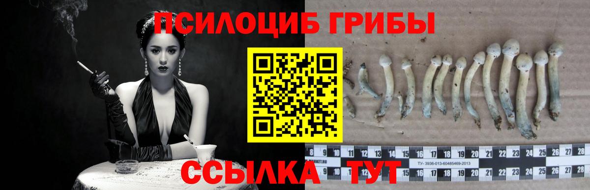 Галлюциногенные грибы GOLDEN TEACHER  Вход с VPN  Усинск 